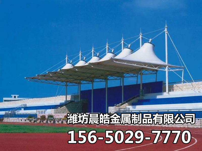 体育场/看台馆膜结构